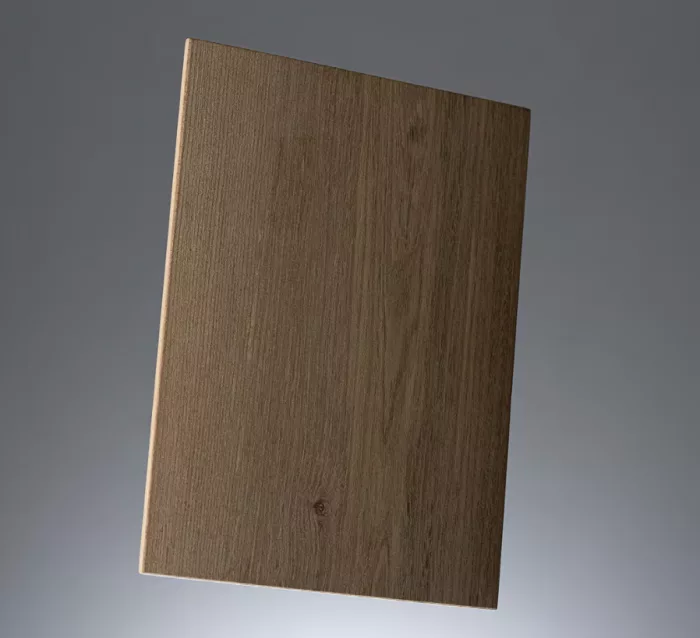 Fossil Wood Elm - Image 3