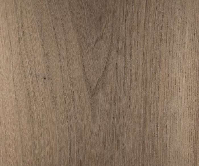 Fossil Wood Elm - Image 4