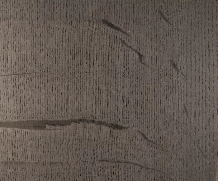 Fossil Wood Medullary - Image 2