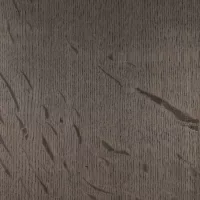 Fossil Wood Medullary