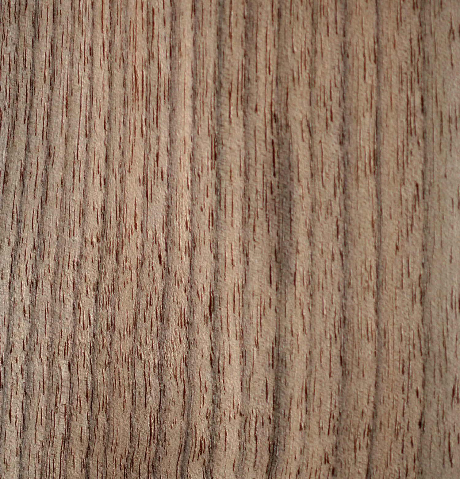 MA_RARE_WOOD_AMERICAN_WALNUT_01 American Walnut - Image 1