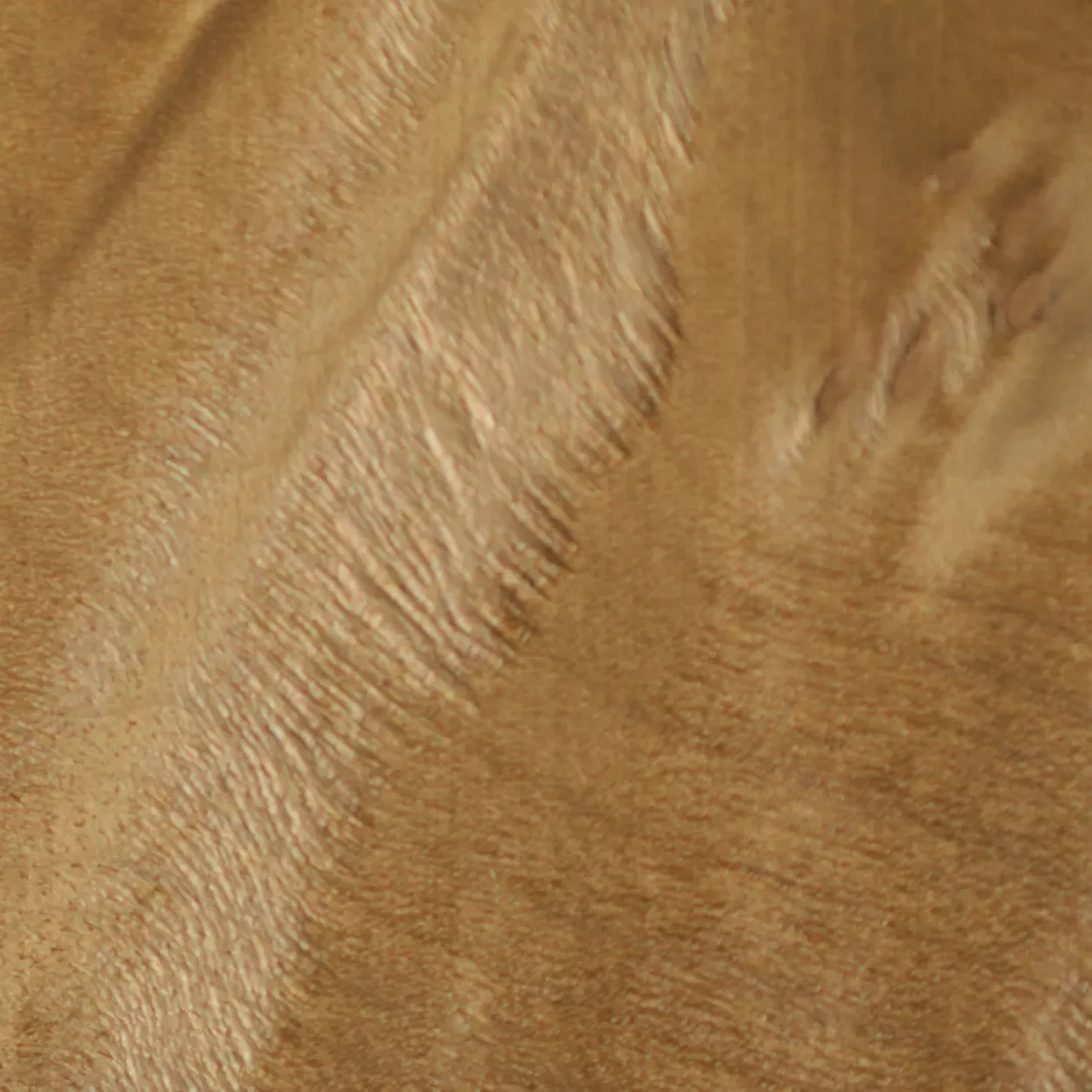 MA_RARE_WOOD_IMBUYA_01 Imbuya - Image 1