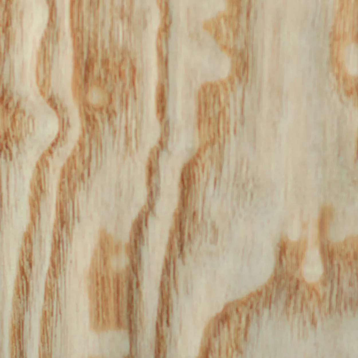 MA_RARE_WOOD_JAPANESE_ASH_01 Japanese Ash - Image 1