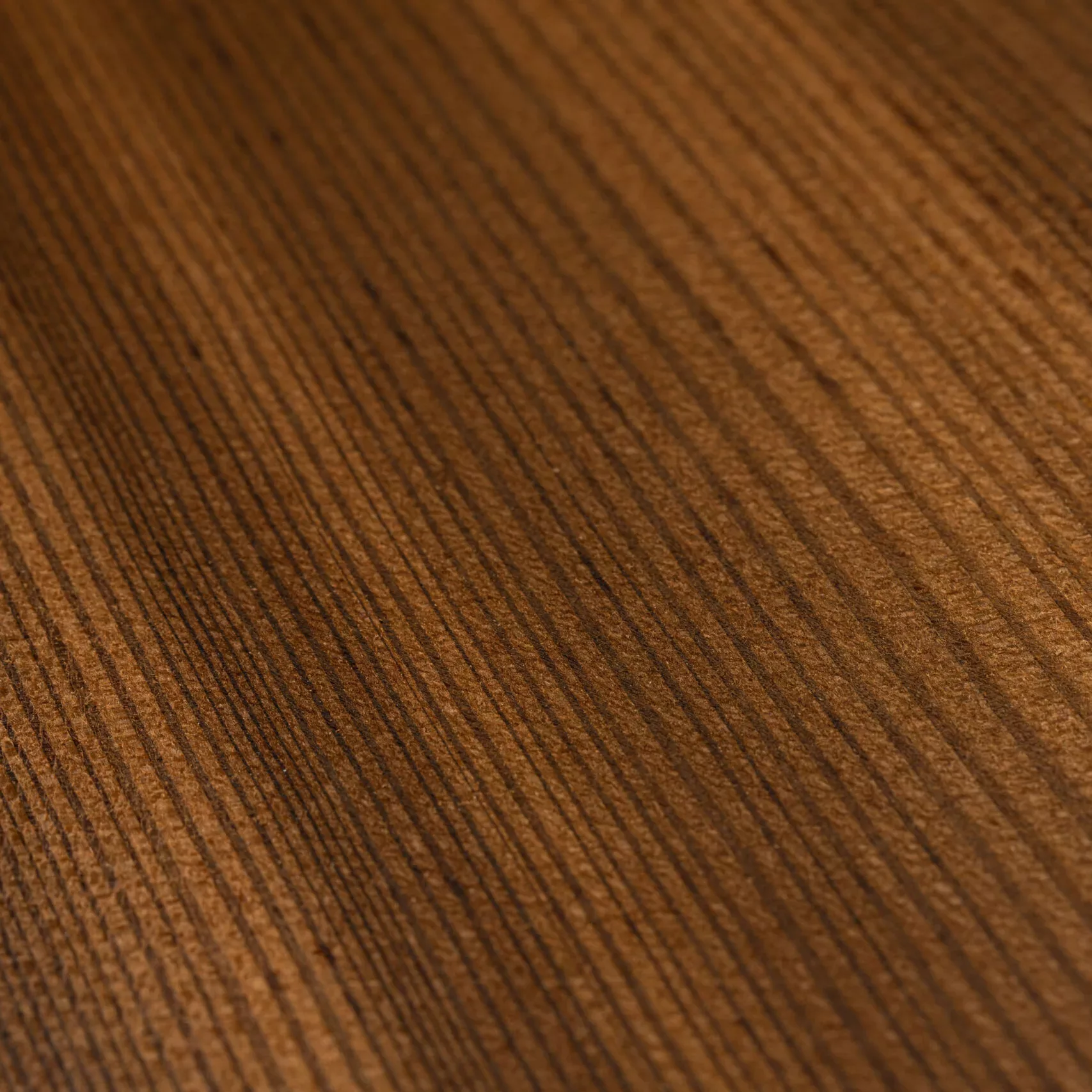 MA_THERMOWOOD_LARCH_01 ThermoWood Larch - Image 1