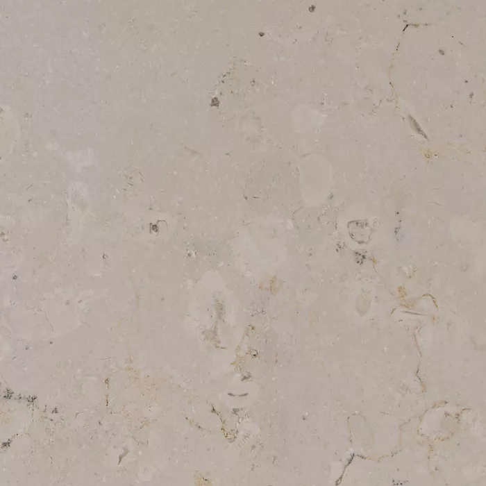 Crema Limestone - Image 2