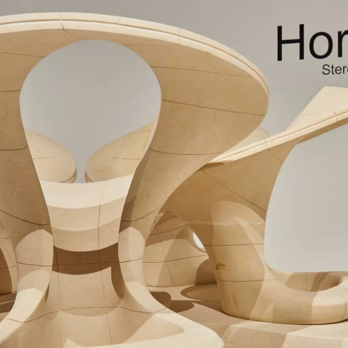 Beige Limestone - Image 4